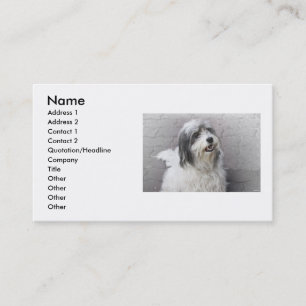 Tarjeta de visita de perro