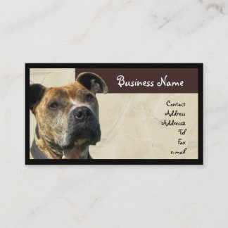 Tarjeta de visita de Pitbull