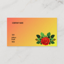 TARJETA DE VISITA DE PLANTILLA BÁSICA