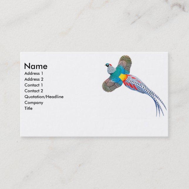 Tarjeta de visita de señora Amherst Pheasant (Anverso)