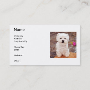 Tarjeta de visita de Terrier blanco de montaña de