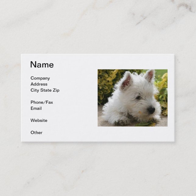 Tarjeta de visita de Terrier blanco de montaña del (Anverso)