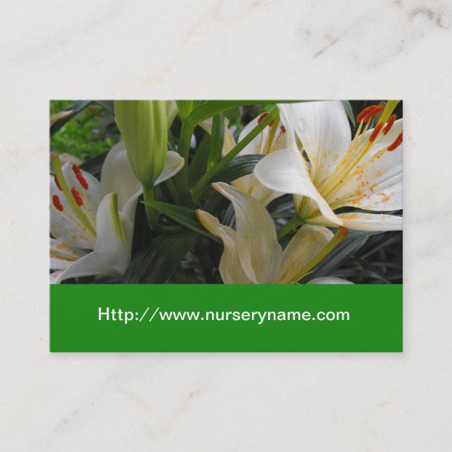 tarjeta de visita de white lily nursery (Anverso)