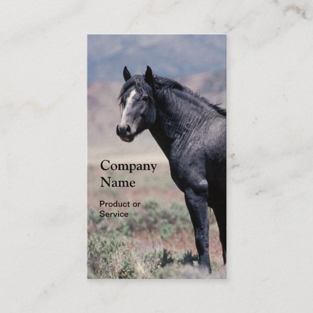Tarjeta de visita del caballo (Anverso)