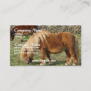 Tarjeta de visita del caballo de la castaña