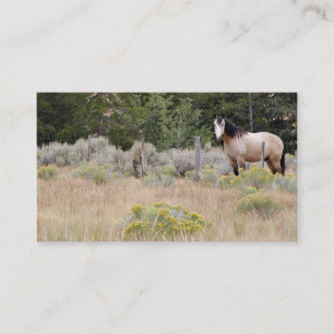 Tarjeta de visita del caballo de la gama