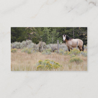 Tarjeta de visita del caballo de la gama