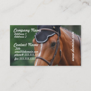 Tarjeta de visita del caballo de Warmblood