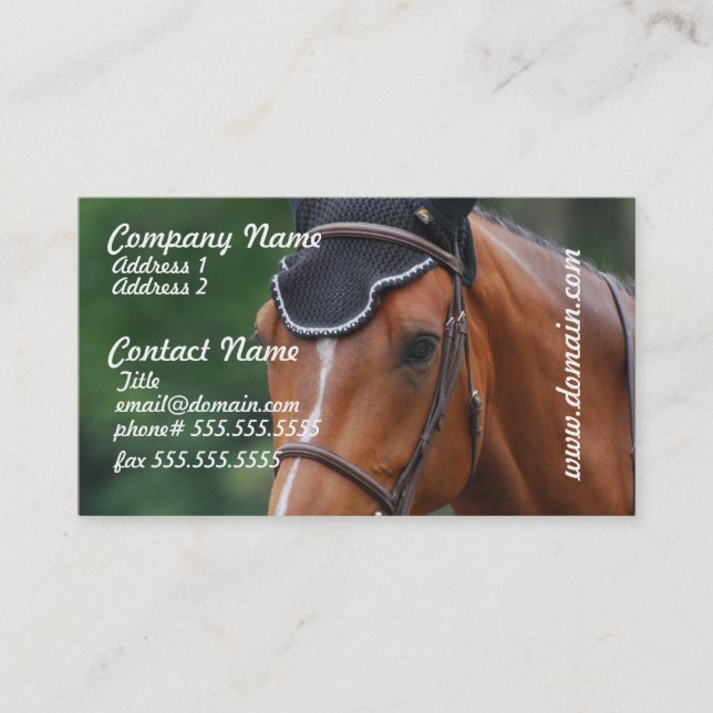 Tarjeta de visita del caballo de Warmblood (Anverso)