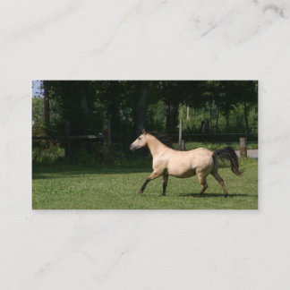 Tarjeta de visita del caballo del ante