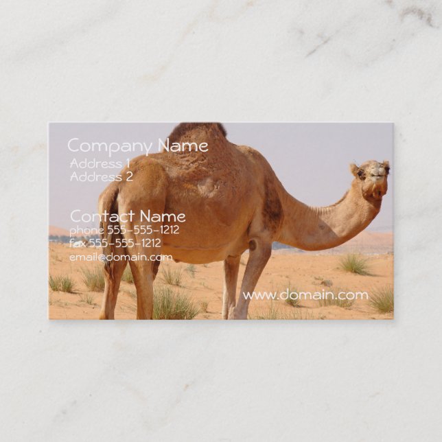 Tarjeta de visita del camello (Anverso)