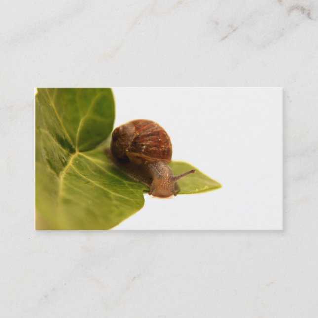 Tarjeta de visita del caracol (Anverso)