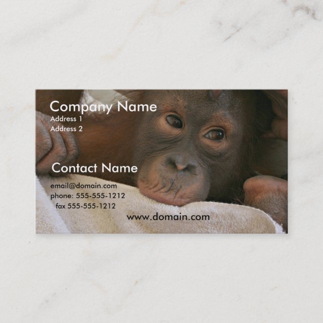 Tarjeta de visita del chimpancé del bebé (Anverso)