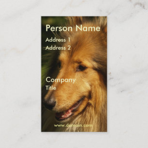 Tarjeta de visita del collie