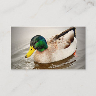 Tarjeta de visita del coto del delta