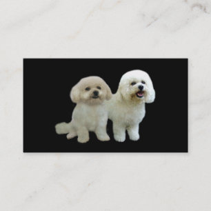 Tarjeta de visita del criador de Bichon