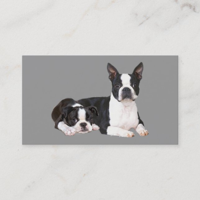 Tarjeta de visita del criador de Boston Terrier (Anverso)