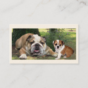 Tarjeta de visita del criador de bulldog