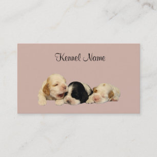 Tarjeta de visita del criador de cocker spaniel