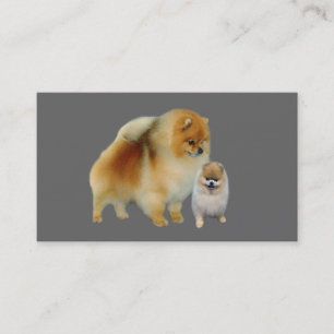 Tarjeta de visita del criador de Pomeranian