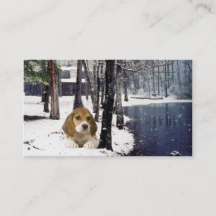 Tarjeta de visita del criador del beagle