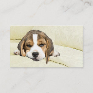 Tarjeta de visita del criador del beagle