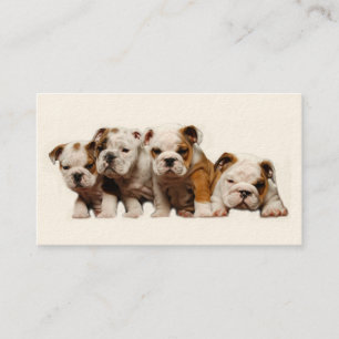 Tarjeta de visita del criador del bulldog