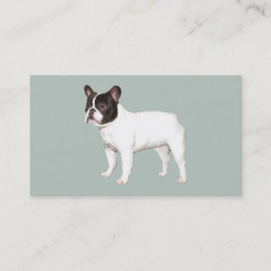 Tarjeta de visita del criador del bulldog francés