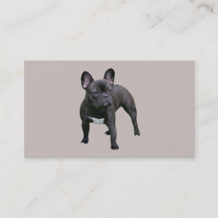 Tarjeta de visita del criador del bulldog francés