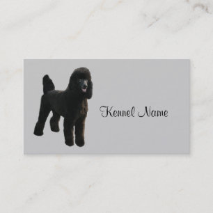 Tarjeta de visita del criador del caniche