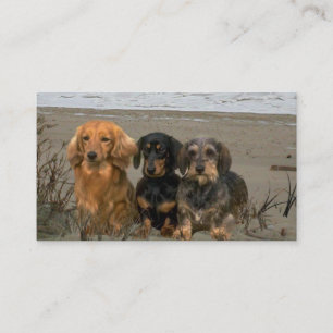 Tarjeta de visita del criador del Dachshund