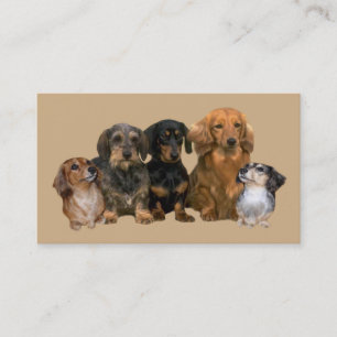 Tarjeta de visita del criador del Dachshund