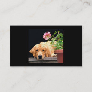 Tarjeta de visita del criador del florista del
