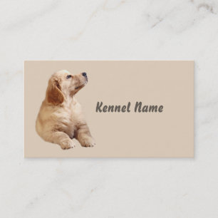 Tarjeta de visita del criador del golden retriever