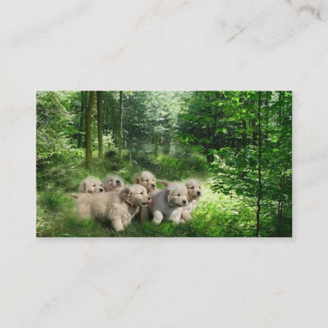 Tarjeta de visita del criador del golden retriever (Anverso)