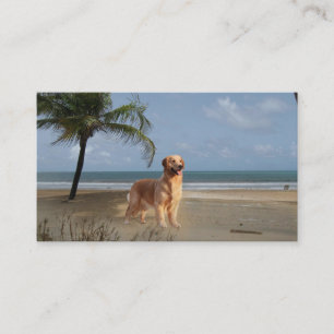 Tarjeta de visita del criador del golden retriever