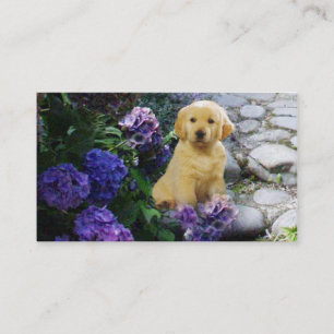 Tarjeta de visita del criador del golden retriever