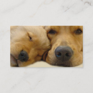 Tarjeta de visita del criador del golden retriever