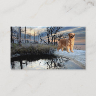 Tarjeta de visita del criador del golden retriever