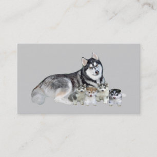 Tarjeta de visita del criador del husky siberiano
