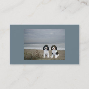 Tarjeta de visita del criador del perro de aguas