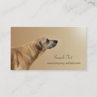 Tarjeta de visita del cuidado de animales de