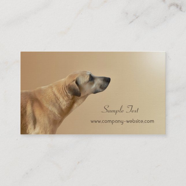 Tarjeta de visita del cuidado de animales de (Anverso)