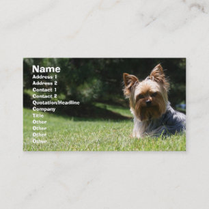 Tarjeta de visita del cuidado de animales de