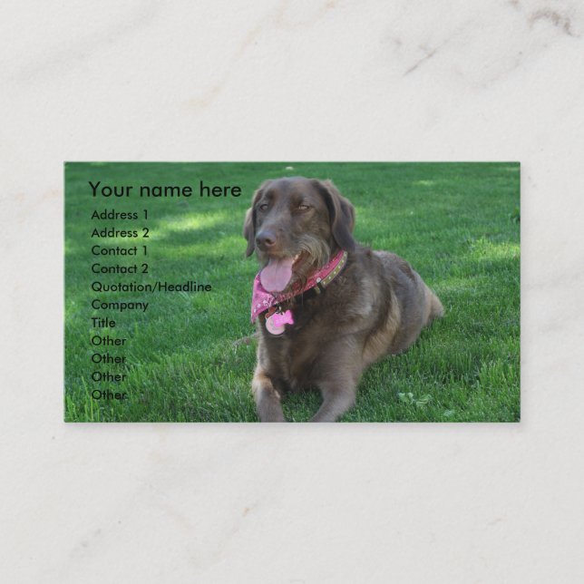 Tarjeta de visita del cuidado de animales de (Anverso)