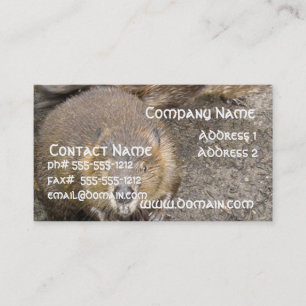 Tarjeta de visita del diseño del castor