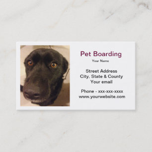 Tarjeta de visita del embarque del mascota