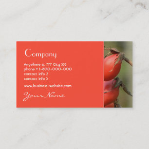 Tarjeta de visita del escaramujo