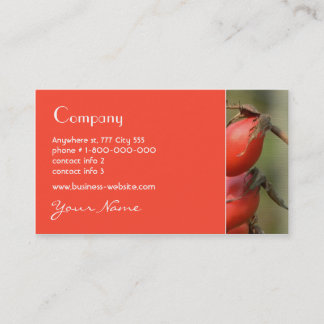 Tarjeta de visita del escaramujo