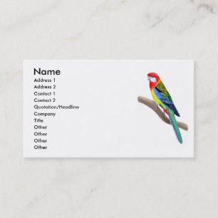 Tarjeta de visita del este del loro de Rosella